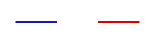 Logo VDMS